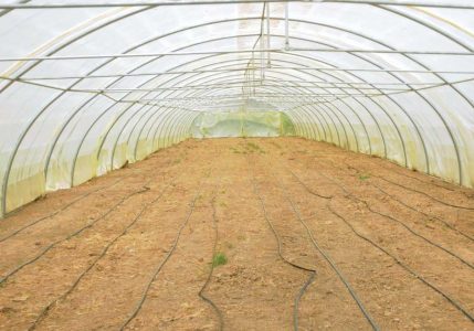 U.S. Troops Bring Greenhouse Irrigation Technology to Iraqi Farmers Image